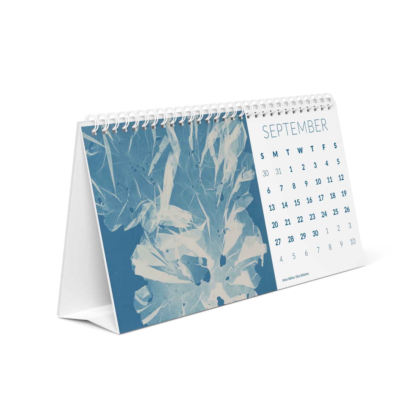 Cyanotype "Cy-Anna" Desk Calendar 2026