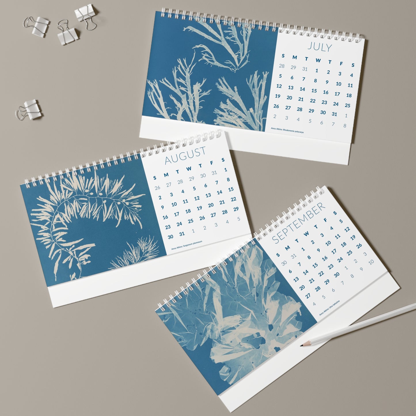 Cyanotype "Cy-Anna" Desk Calendar 2026