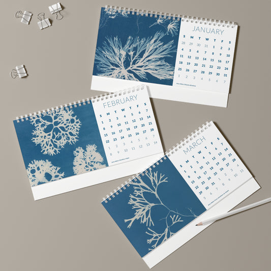 Cyanotype "Cy-Anna" Desk Calendar 2026