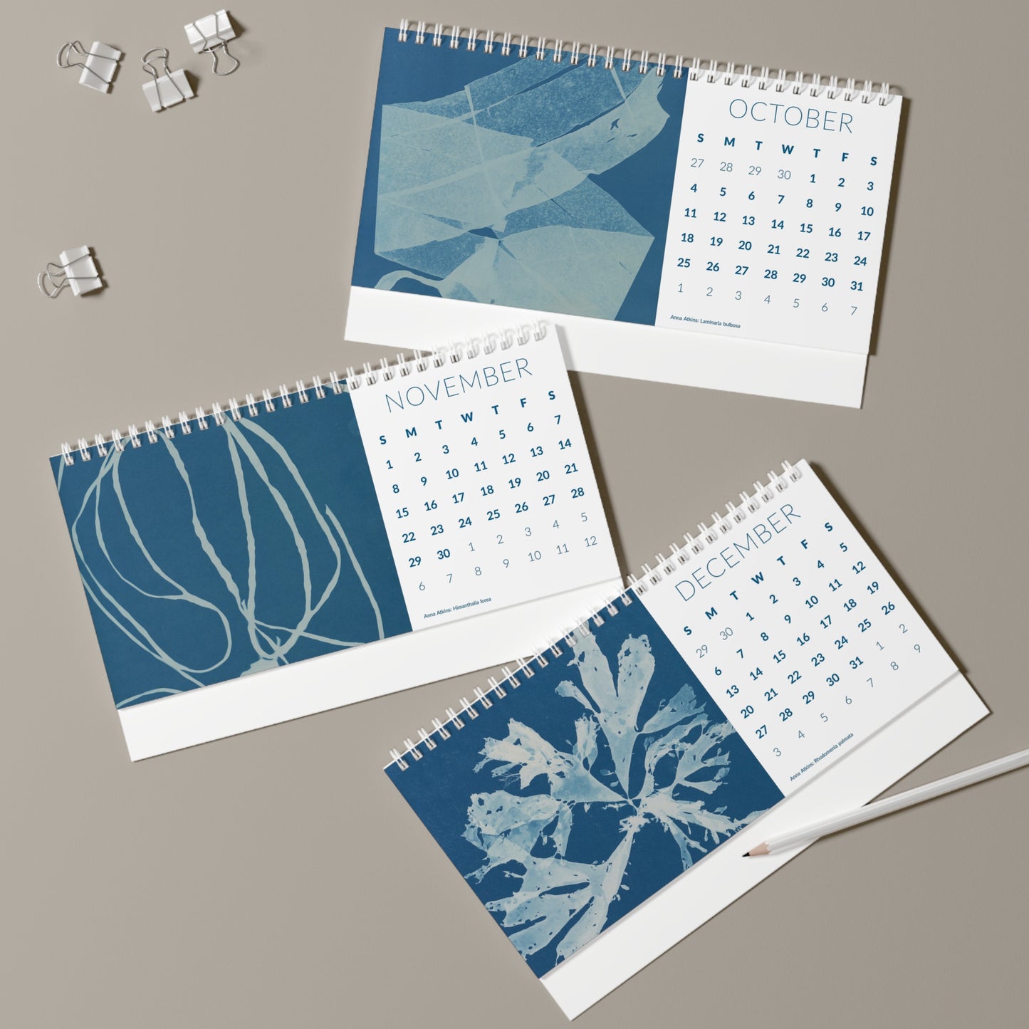 Cyanotype "Cy-Anna" Desk Calendar 2026